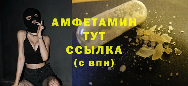 ПСИЛОЦИБИНОВЫЕ ГРИБЫ Тайга