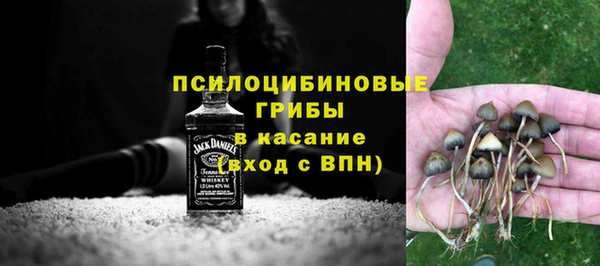 ПСИЛОЦИБИНОВЫЕ ГРИБЫ Тайга