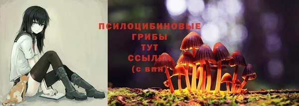 ПСИЛОЦИБИНОВЫЕ ГРИБЫ Тайга