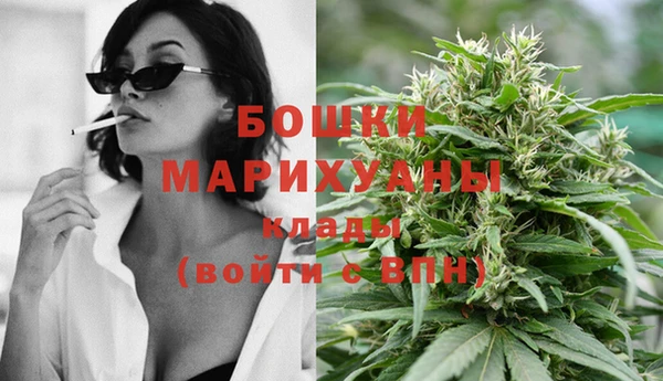ПСИЛОЦИБИНОВЫЕ ГРИБЫ Тайга