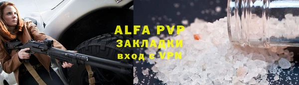 ПСИЛОЦИБИНОВЫЕ ГРИБЫ Тайга
