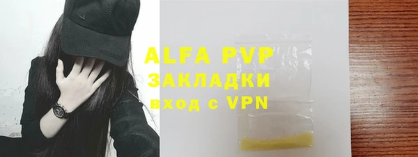ПСИЛОЦИБИНОВЫЕ ГРИБЫ Тайга