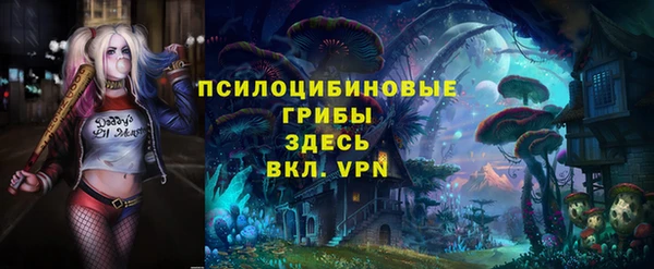 ПСИЛОЦИБИНОВЫЕ ГРИБЫ Тайга