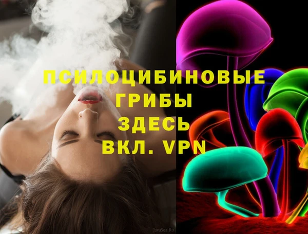 ПСИЛОЦИБИНОВЫЕ ГРИБЫ Тайга