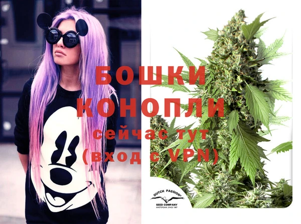 ПСИЛОЦИБИНОВЫЕ ГРИБЫ Тайга