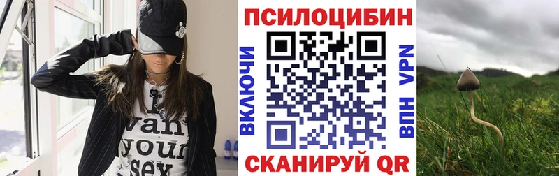 Галлюциногенные грибы GOLDEN TEACHER  Грозный 