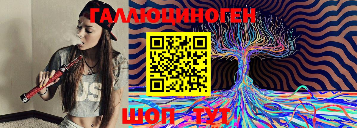 Галлюциногенные грибы Cubensis  Грозный 