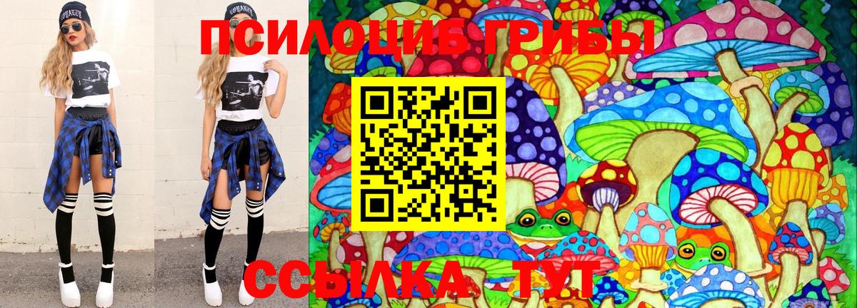 Псилоцибиновые грибы Cubensis Грозный