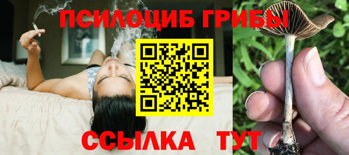 Грозный  Псилоцибиновые грибы мухоморы  Вход с VPN 