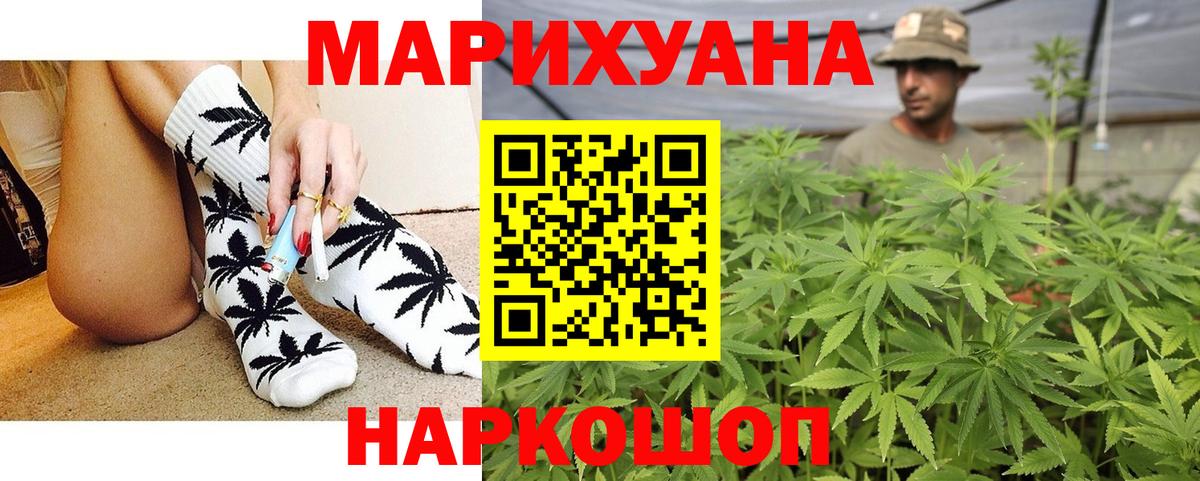 Канабис White Widow Грозный